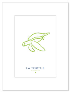 affiche-croquis-tortue-visuel