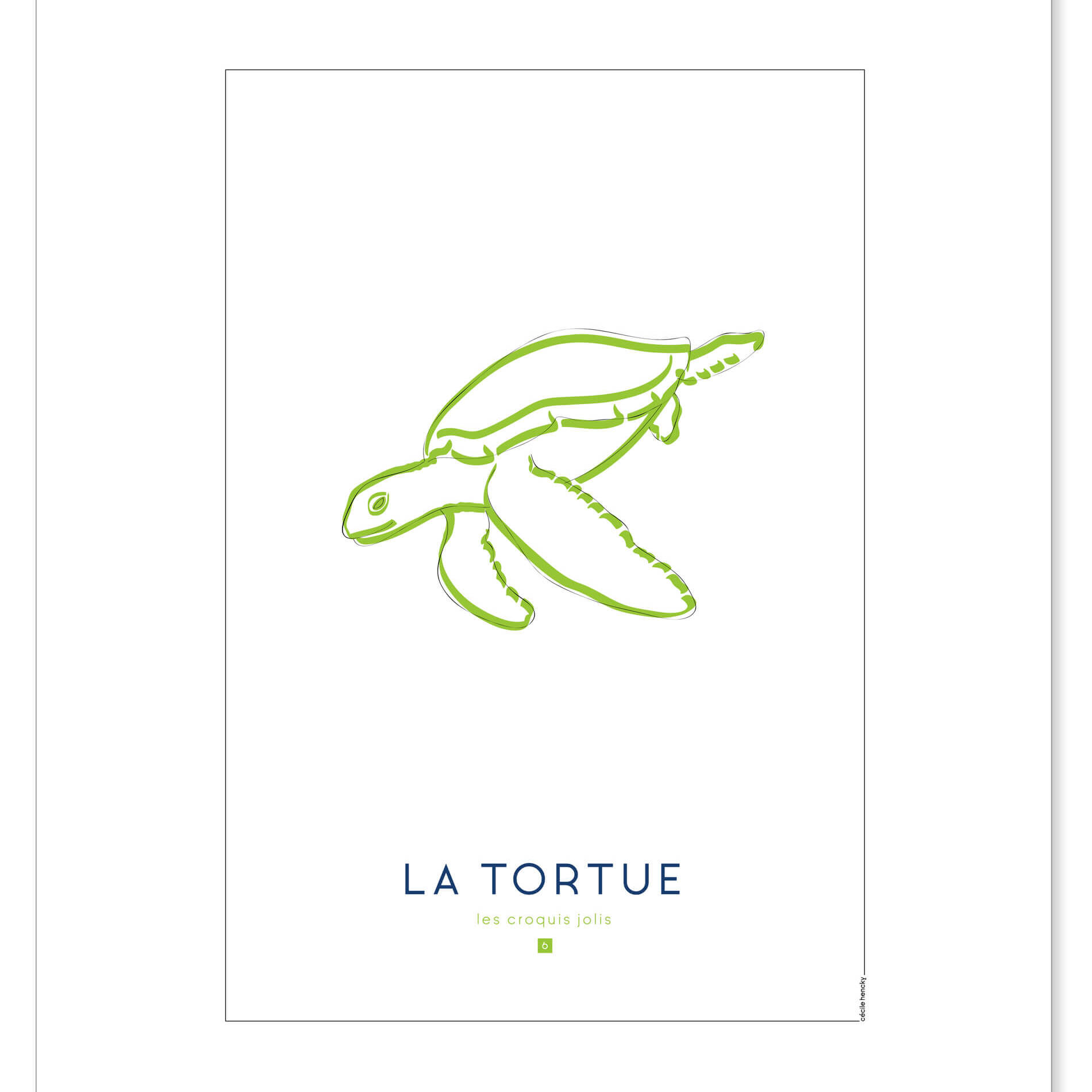 affiche-croquis-tortue-visuel